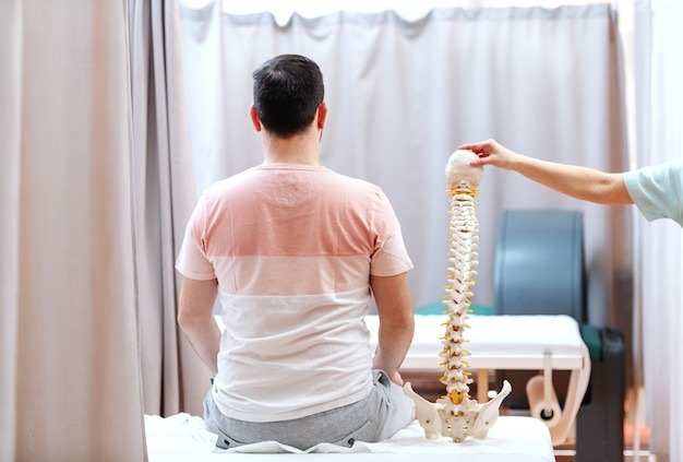 Spinal Cord