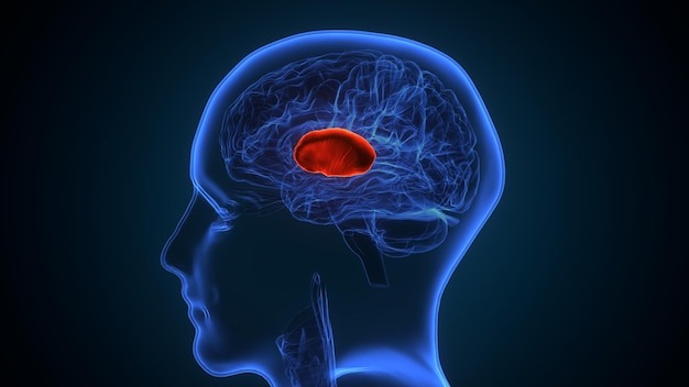Brain Tumor Expert Dr. Sunil Kutty